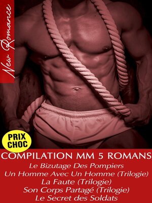 cover image of Compilation 5 Romans--Intégrale (Romances Gay)